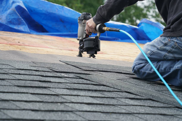 Roof Gutter Cleaning in Cecil Bishop, PA