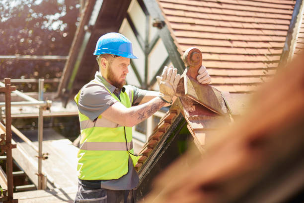Best Residential Roof Replacement  in Cecil Bishop, PA